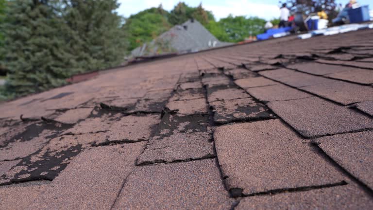 Best Sheet Metal Roofing  in Dearborn, MI