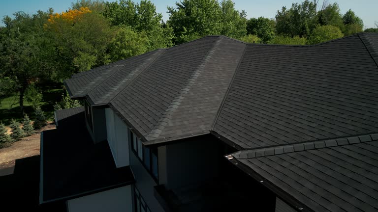 Best Skylight Installation and Repair  in Dearborn, MI