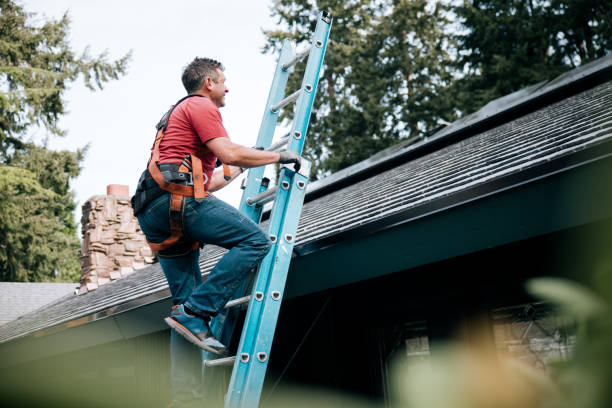 Best Roof Insulation Installation  in Dearborn, MI